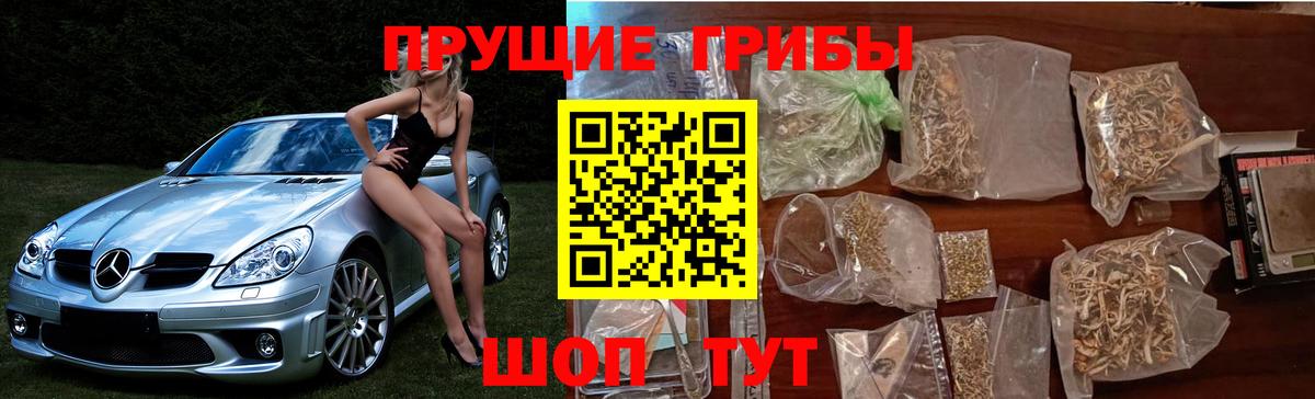Псилоцибиновые грибы Magic Shrooms Губкинский
